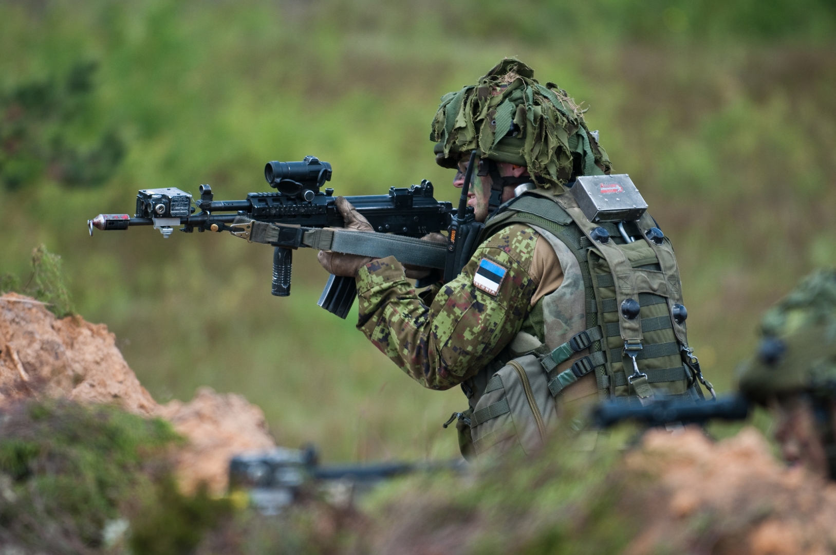 армия эстонии