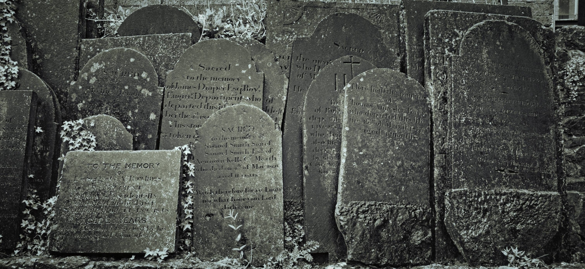 Изборск кладбище надгробные плиты