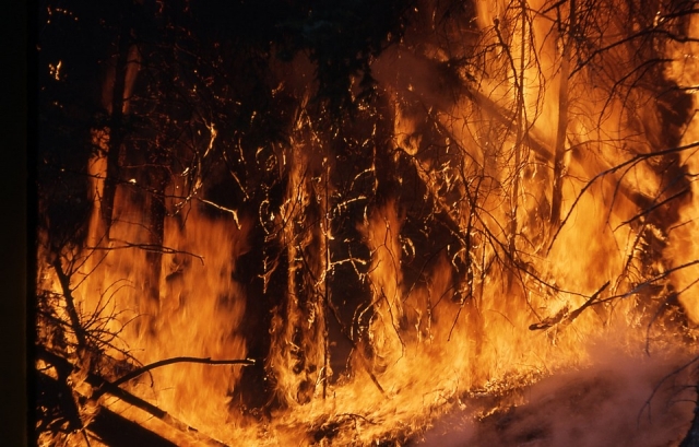В Бурятии не тушат «затратные» лесные пожары