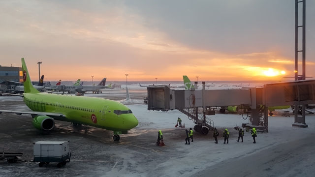 СМИ: У S7 Airlines в «Домодедово» есть проблемы с регистрацией пассажиров