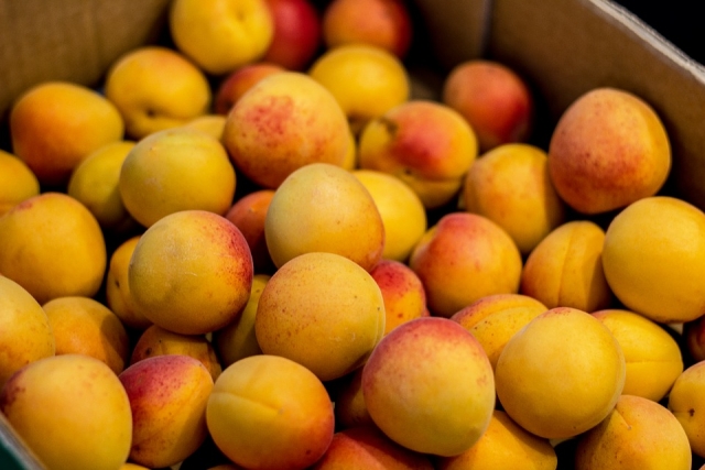 Россельхознадзор пресек ввоз в Россию зараженных абрикосов из Китая