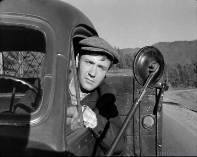 Водитель грузовика