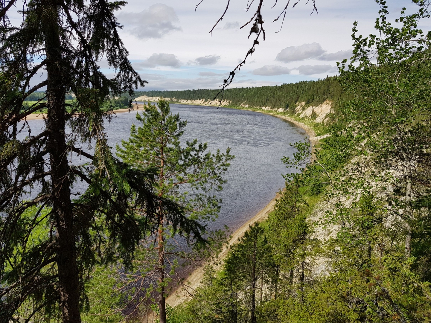 Архангельская река. Архангельск река Пинега. Река Пинега Архангельская. Северная река Пинега. Река Пинега Архангельская область.