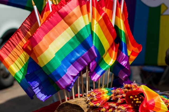 Флаги ЛГБТ 