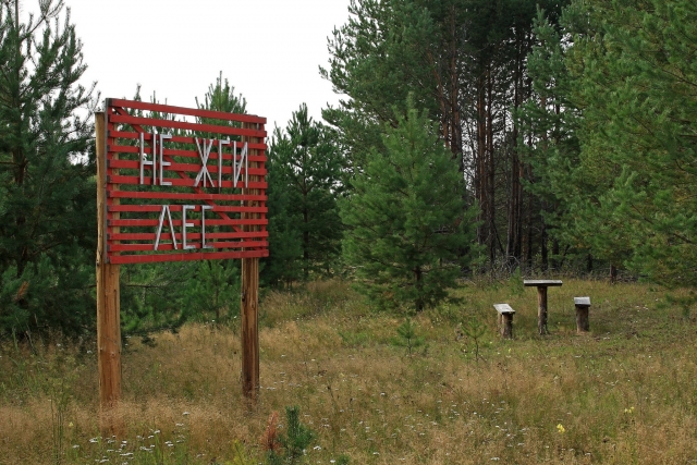 В Калининградской области сгорел лес на площади 1 гектара