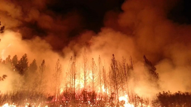 Лесные пожары: Бюджет Калифорнии «прогорит» на $100 млн