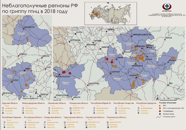 Карта птичьего гриппа в россии