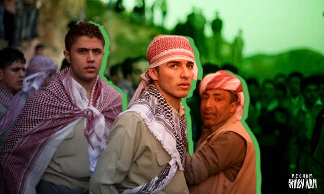 Kurdish tribes of the Middle East: split and fermentations