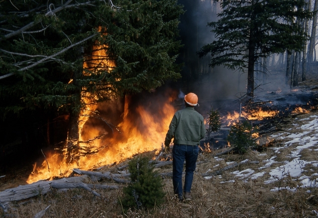 В Бурятии потушили лесной пожар в пригороде Улан-Удэ