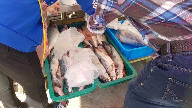 Рыба на Сахалине только на рынках или с рук