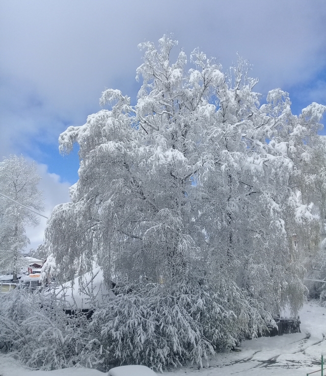 Сентябрь на дворе: в Томской области ожидаются заморозки