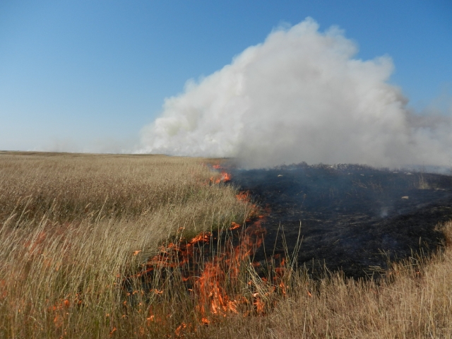 В Оренбуржье крупный степной пожар ликвидирован