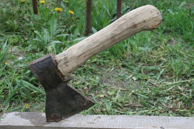 Костромские «черные лесорубы» заготовили более 300 кубометров древесины