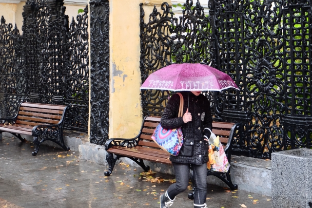 В Москве за сутки выпало более 20% месячной нормы осадков