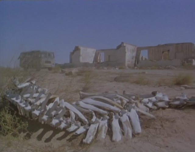 В пустыне Гоби нашли скелет зауропода