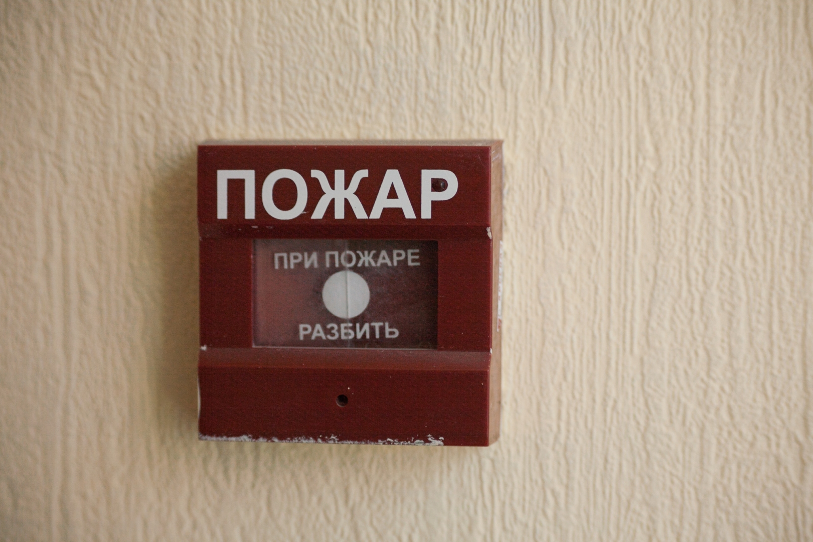 В связи с пожаром в московской школе эвакуированы 300 человек - ИА REGNUM