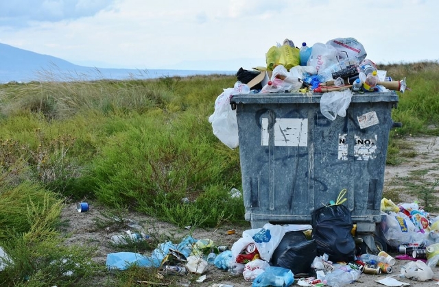 В Псковской области намерены сортировать до 50% всего мусора