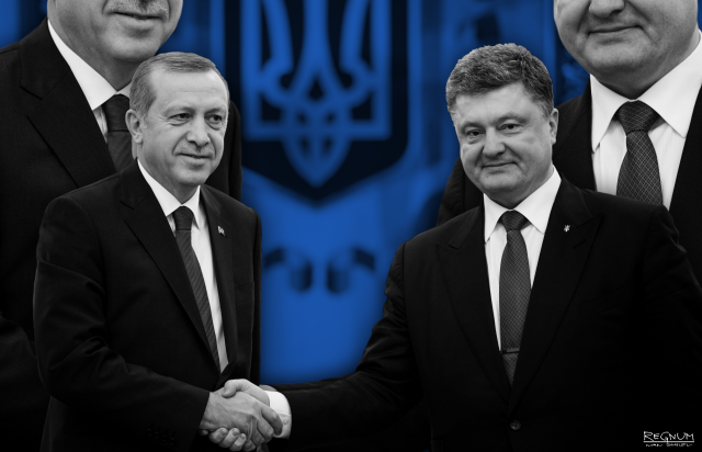 Эрдоган: Турция намерена развивать связи с Украиной