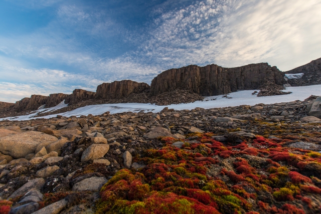 Пейзаж острова Хейса – камни, скалы, арктические мхи
