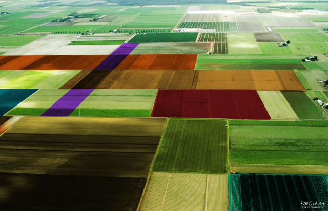 Дальневосточный гектар 