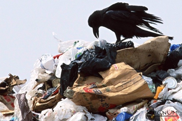 Архангельские депутаты не смогут запретить ввоз мусора из других регионов