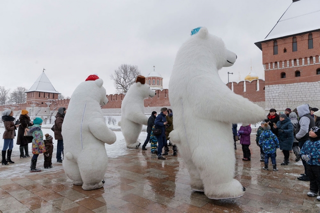 Проект «Тула – новогодняя столица России» открылся «Северным шоу»