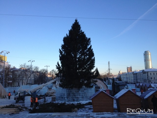В Екатеринбурге впервые за много лет поставили живую ёлку