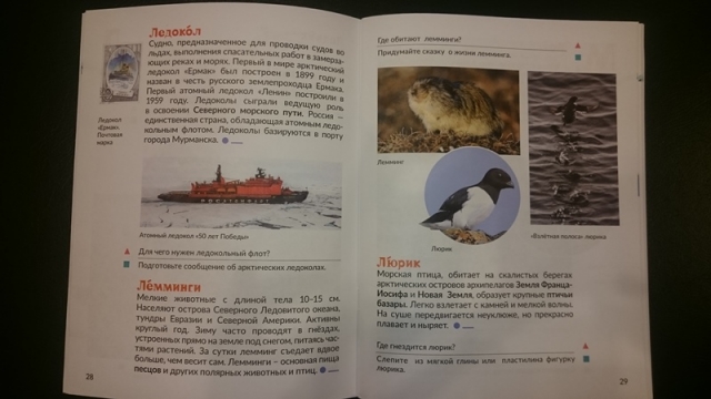 Создан учебник «Арктическая азбука»