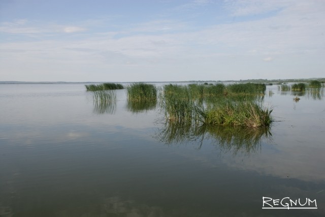 В Ярославской области консервный завод загрязняет озеро Неро