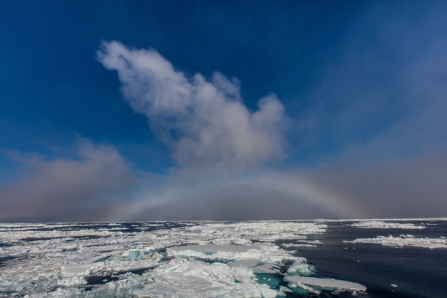 Полярная туманная радуга – спутница всех арктических путешественников. Мечта – сфотографировать белого медведя на фоне радуги