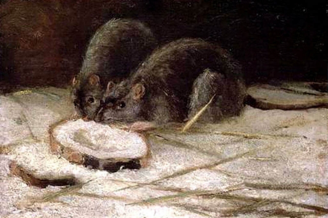 Винсент Ван Гог. Две крысы. 1884