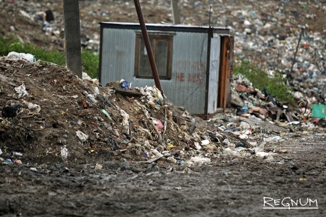 На Урале просят не строить мусороперерабатывающий завод возле кедровой рощи