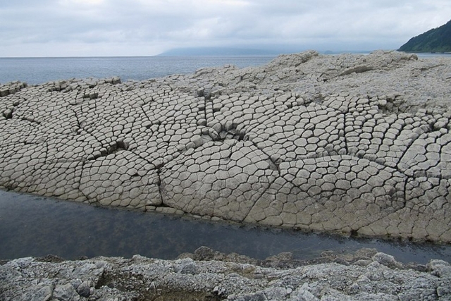 Колонны из базальта на мысе Столбчатый на острове Кунашир 