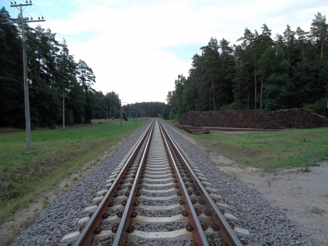 За строительство Rail Baltica будет отвечать представитель из Финляндии
