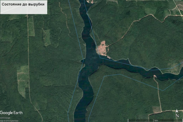 В Приангарье чиновники позволили вырубить леса в 72 раза больше положенного