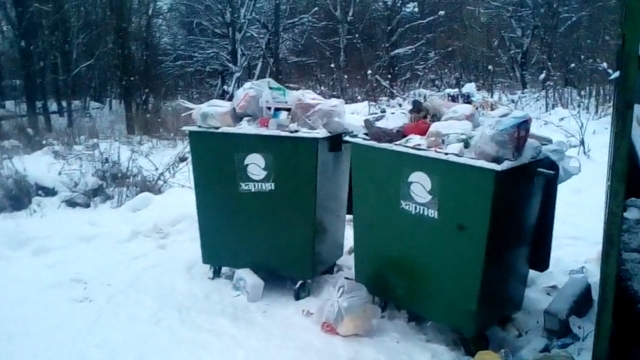 В Ярославской области содержание мусорных площадок возложили на бюджет