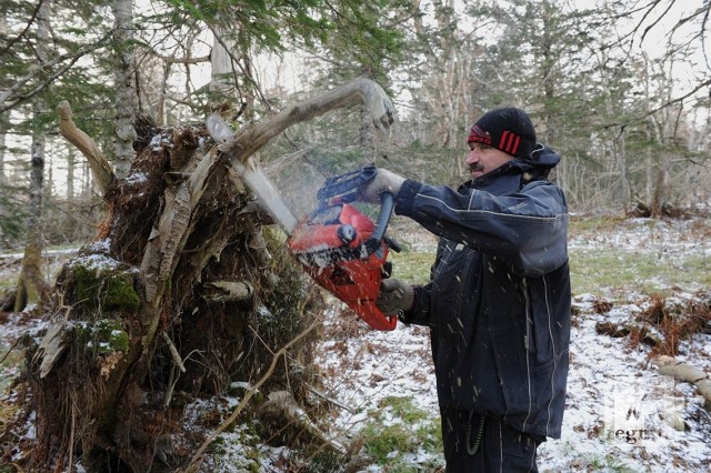 Инспектор курильского заповедника Андрей Архангельский на участке  готовит территорию для проезда снегоходов в зимний период