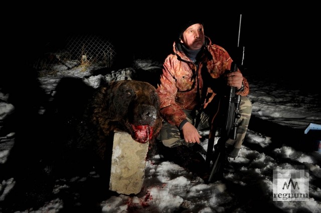 Курильский охотник-волонтер позирует на фоне убитого на поселковой свалке медведя