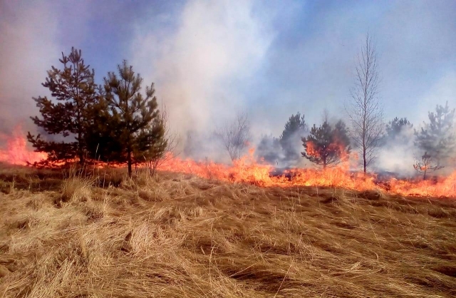 15 га люцерны сгорело в сельском поселении Чувашии из-за поджога