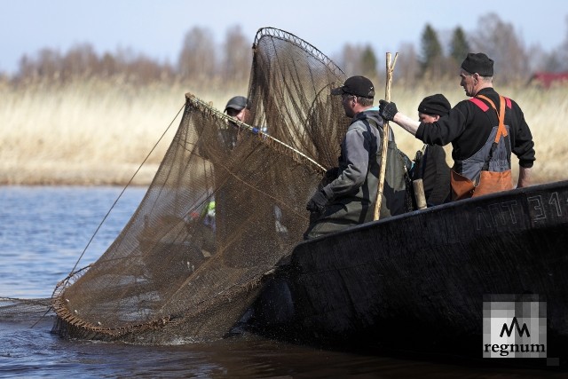 Рыбалка на реке Сясь в Ленинградской области: особенности, зоны, снасти