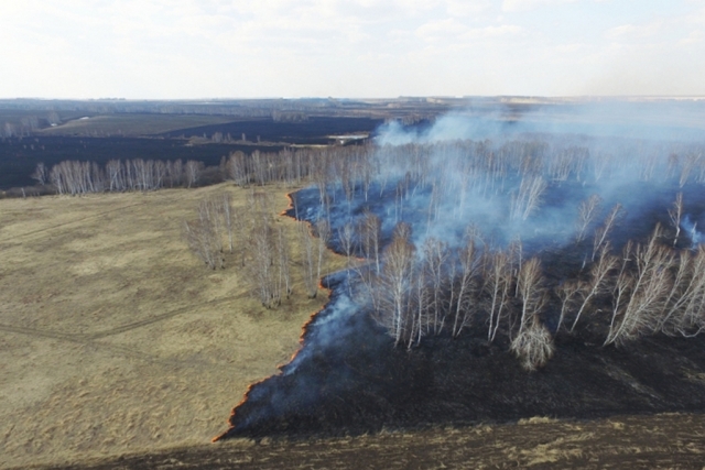 Лесные пожары стали причиной введения режима ЧС в Зейском районе Приамурья