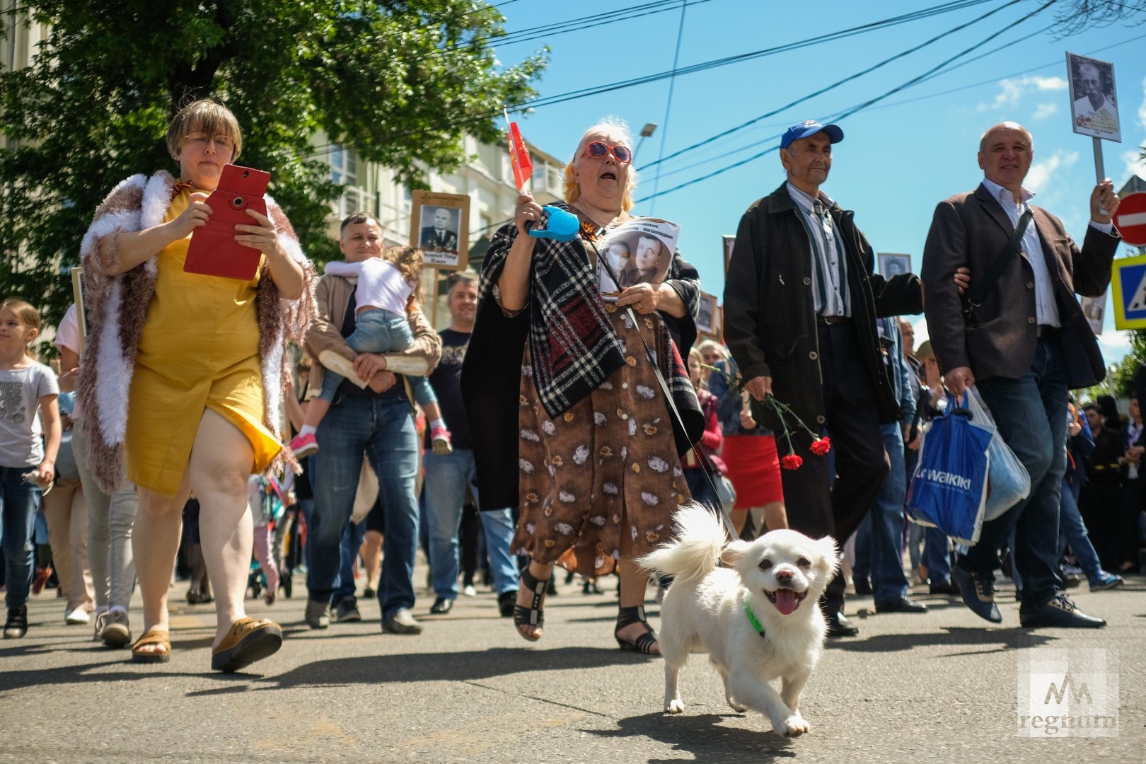 Когда в краснодаре бессмертный полк