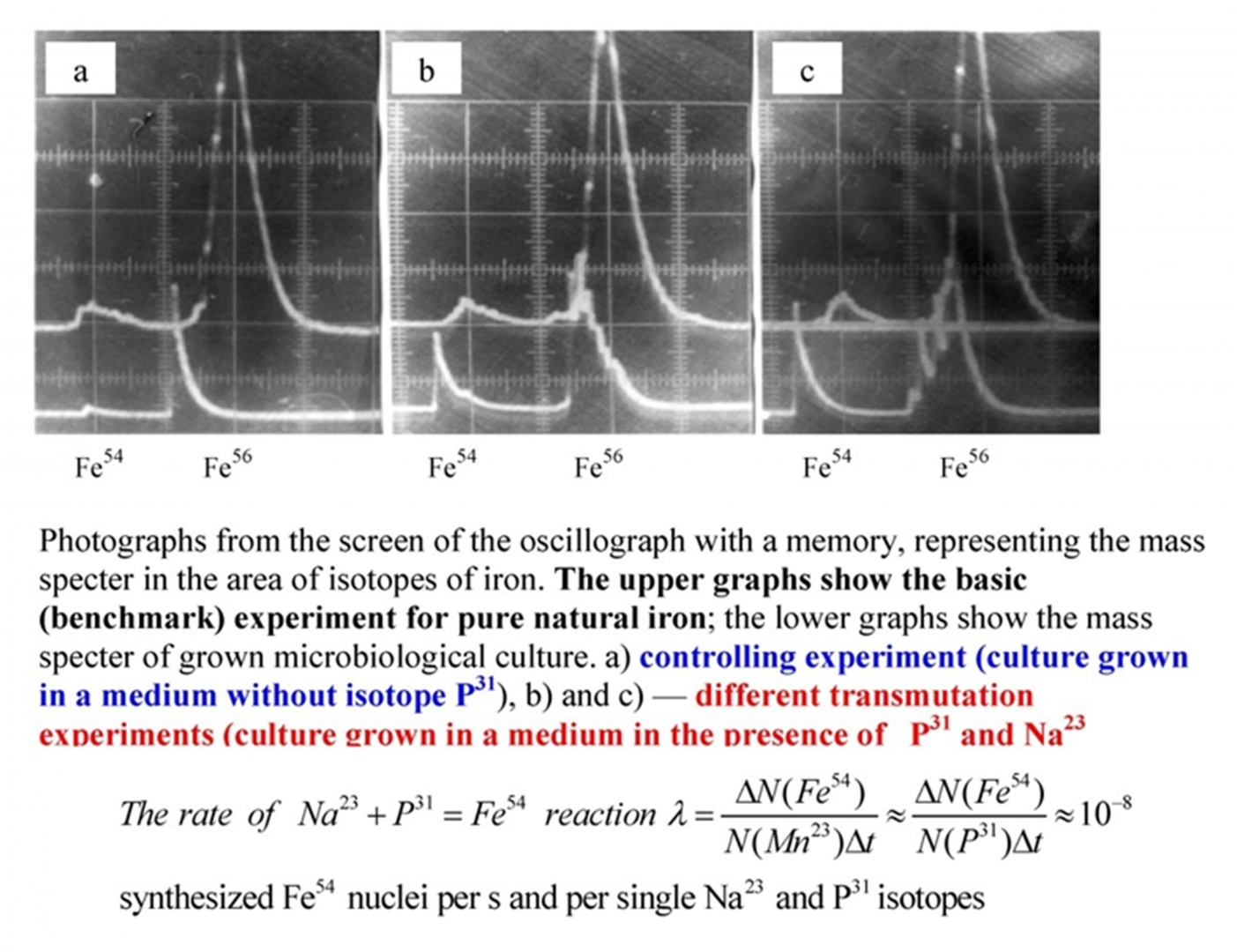 Рис. 64. Фиксация изотопного состава природного железа (верхние графики) и результатов эксперимента при разном составе питательной среды (в отсутствие или присутствии изотопа P31)