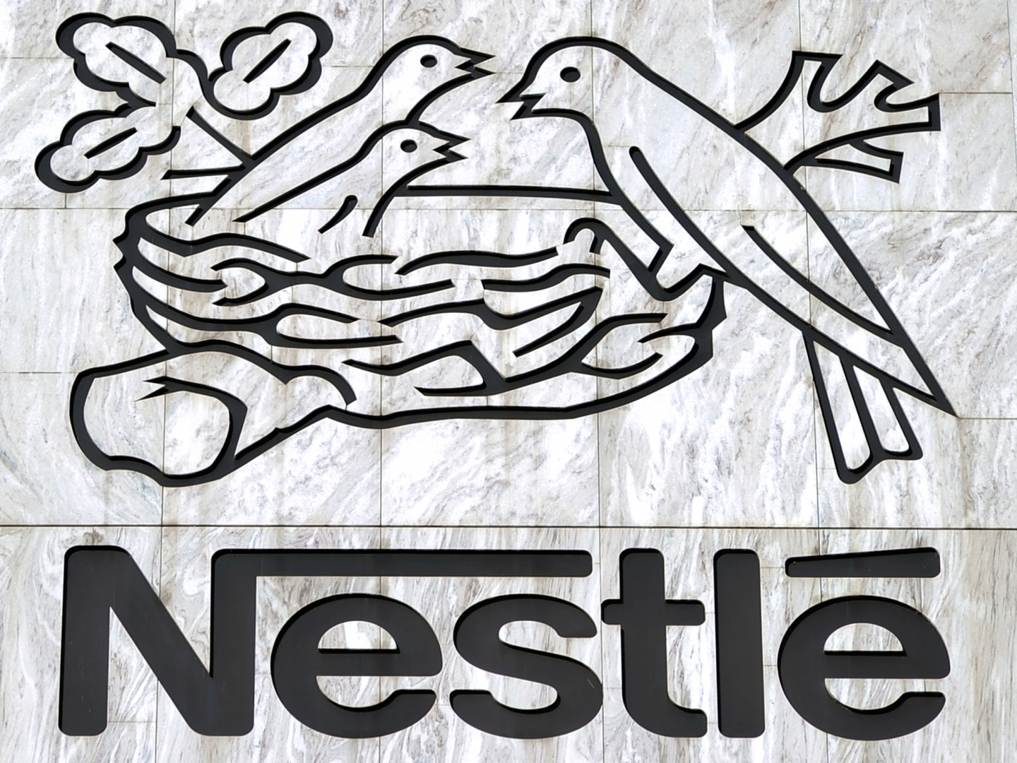 Nestle Nestlé—The Largest