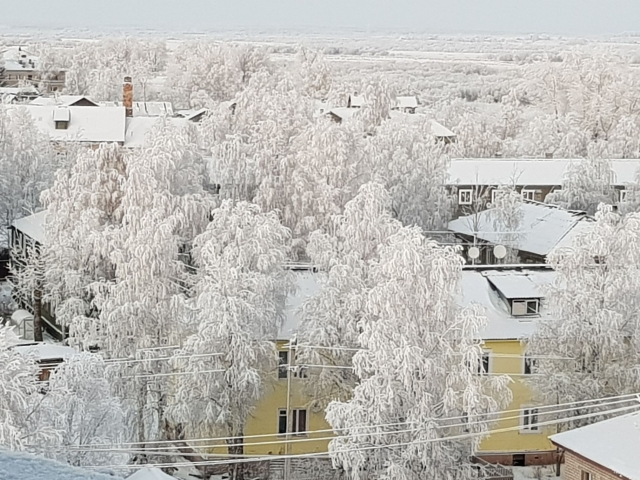 Вид на Холмогоры с соборной колокольни зимой