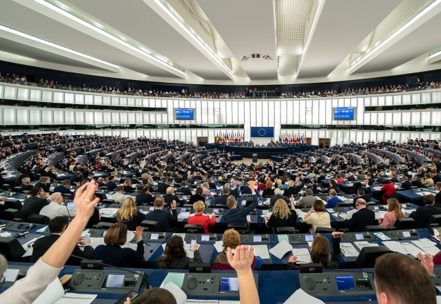 Голосование в Европейском Парламенте