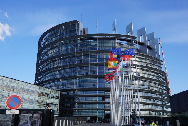 Европейский парламент 