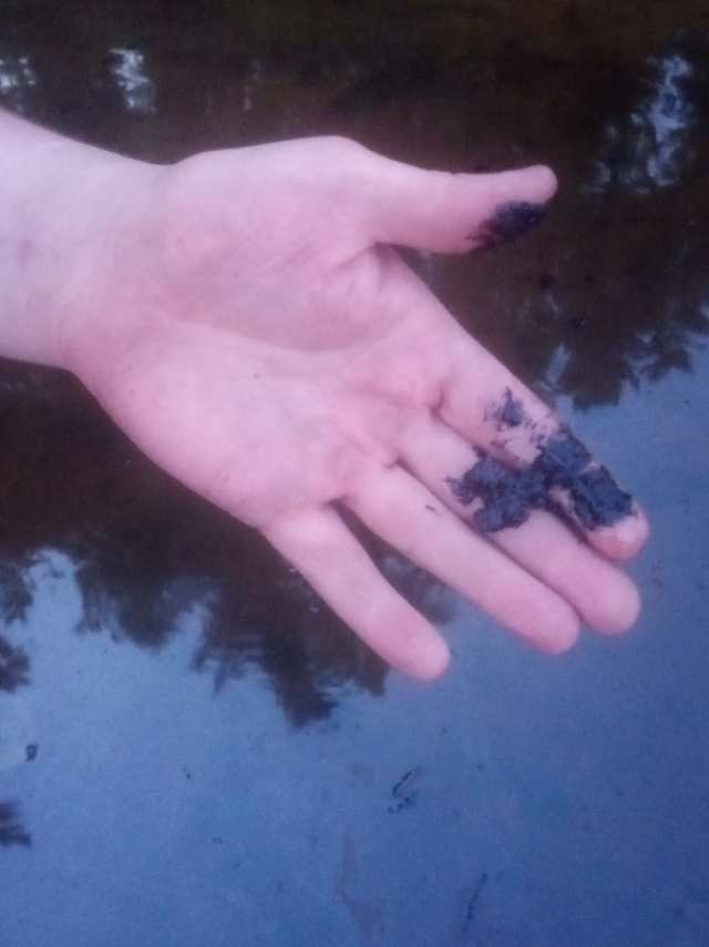 В Ярославской области в Волге и на берегу реки обнаружили мазутные пятна