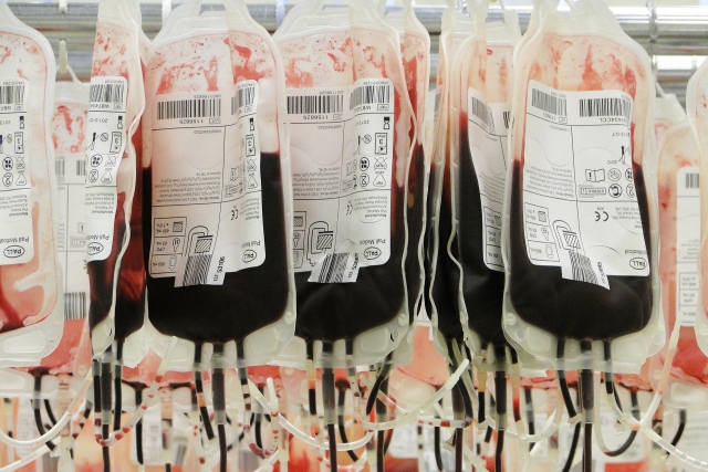 Канадские ученые научились «превращать» вторую группу крови в универсальную