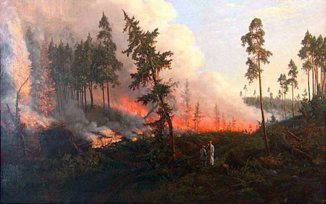 В Омской области расследуют уголовное дело по факту крупного лесного пожара